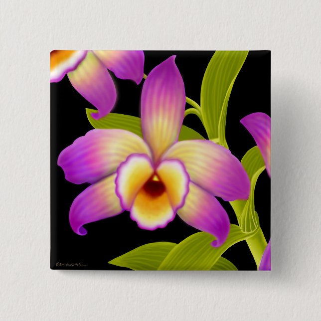 Den DendrobiumNobile orchiden klämmer fast Knapp (Framsida)