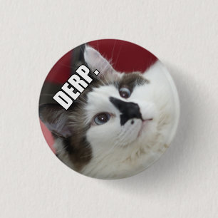 Den Derp katten knäppas Knapp