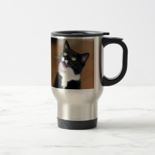 Den Derpy katten skapar ett enfaldigt ansikte Resemugg