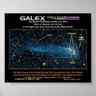 Den detaljerade Star Mira med Svan, de binära... Poster