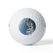 Den digitala verkets väktare