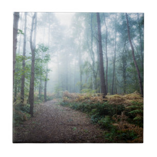Den dimmiga skogen går kakelplatta