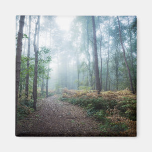 Den dimmiga skogen går magnet