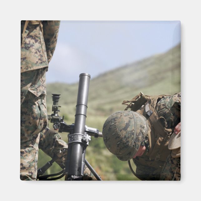 Den direkt ljugit metoden för avskjutning av grana magnet (Framsidan)