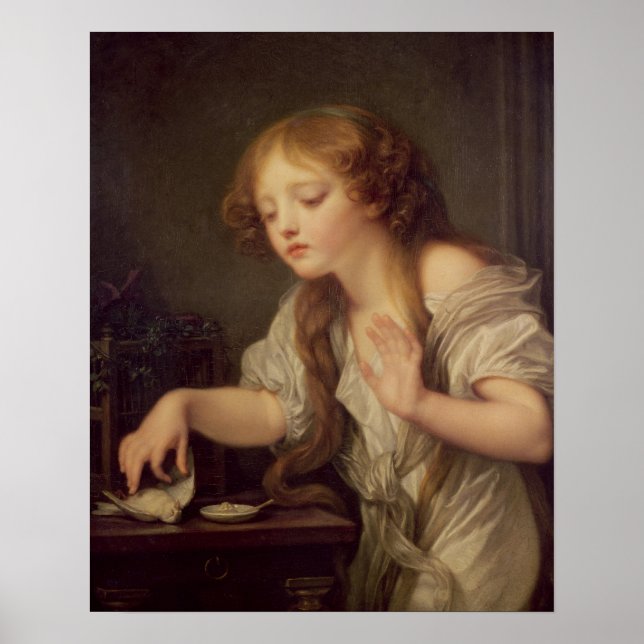 Den döda fågeln poster (Framsidan)