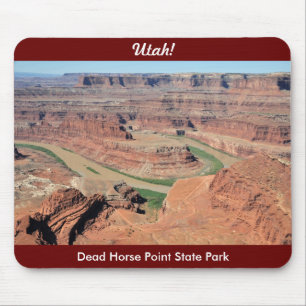 Den döda hästen pekar delstatsparken, Utah Musmatta