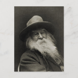 Den döende filosofen Poet Walt Whitman Vykort