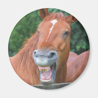 Den döende hästen magnet
