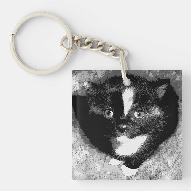 Den dolda observatören (Framsidan)