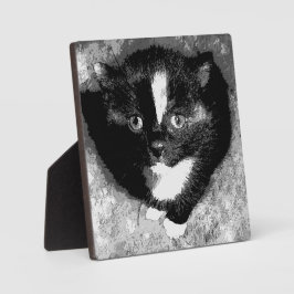 Den dolda observatören