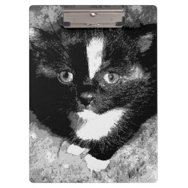 Den dolda observatören