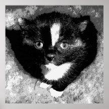 Den dolda observatören