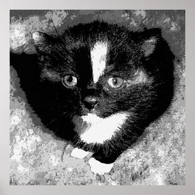 Den dolda observatören poster (Framsidan)