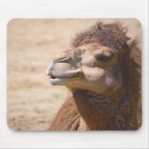 Den dränkande kameran - Mousepad Musmatta