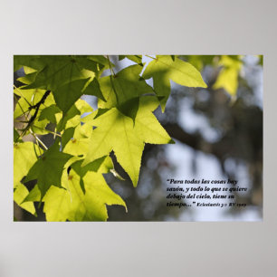 Den Eclesiastes 3:1 lurar Hojas Poster