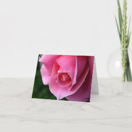 Den eleganta rosa ros noterar kortet tack kort