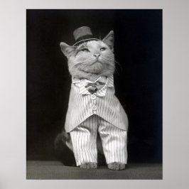 Den elegante katten, 1906. Gammalt foto Poster