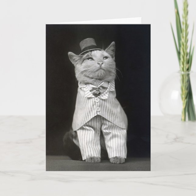 Den elegante katten, 1906 kort (Framsida)