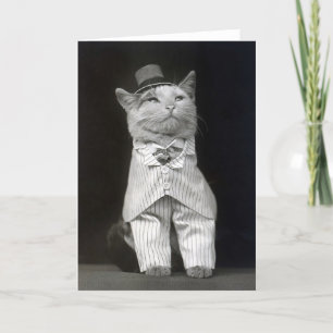 Den elegante katten, 1906 kort