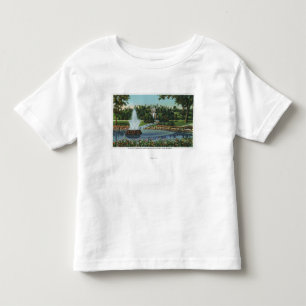Den elektriska fontänen och nedgångarna t-shirt