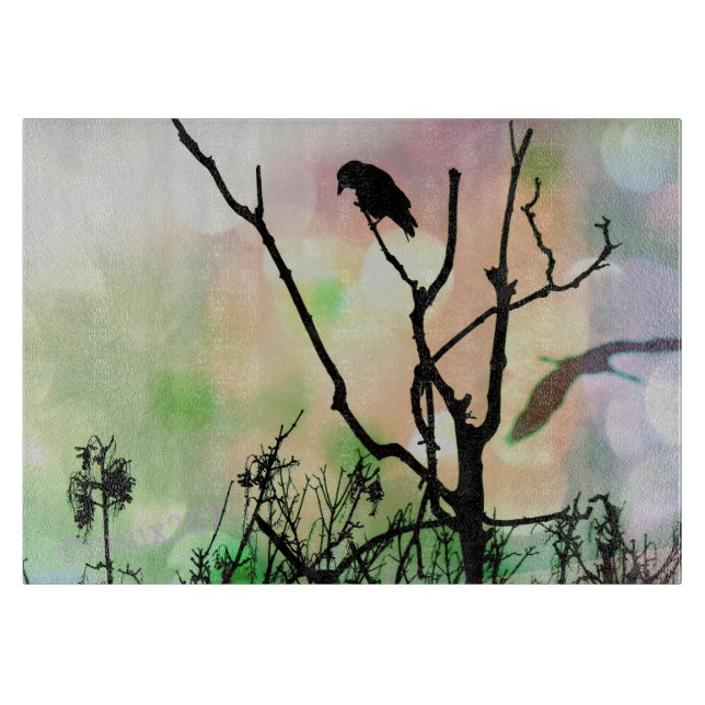 Den enda Kråkan (Framsidan)