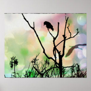 Den enda Kråkan Poster