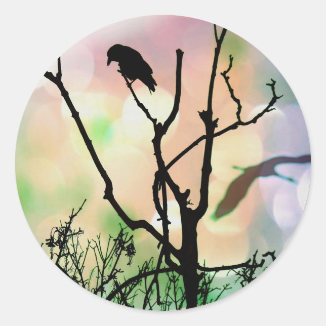 Den enda Kråkan Runt Klistermärke (Framsida)
