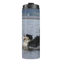 Den enfaldiga hunden i vatten, tumbler,