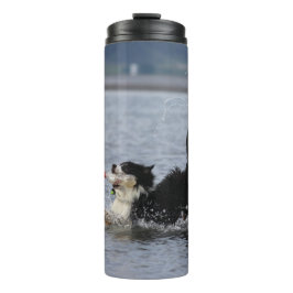 Den enfaldiga hunden i vatten, tumbler,