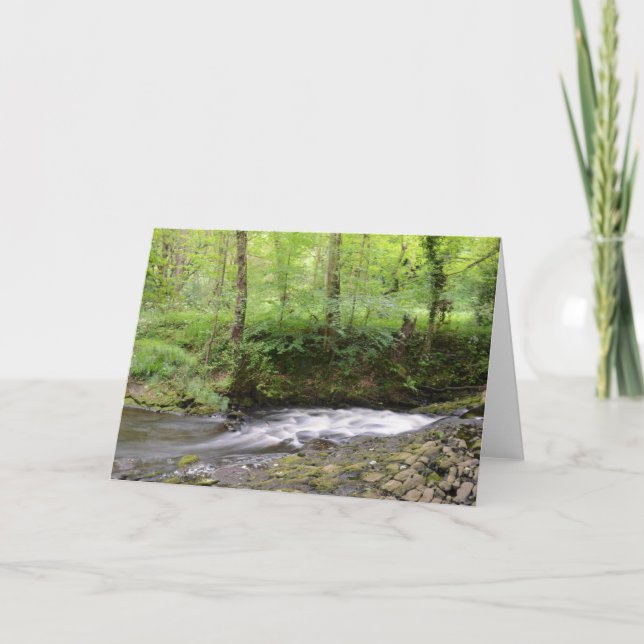Den engelska skogsmarken strömmer kort (Framsida)