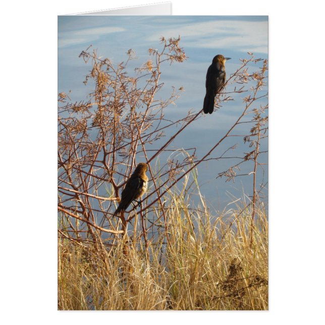 Den enkla ord av hjärta klädde med filt gillande hälsningskort (Framsidan)