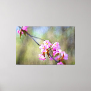 Den Enkla Skönheten Hos Sakura Blommor På Våren Canvastryck