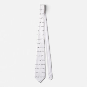 Den Euler formeln Slips