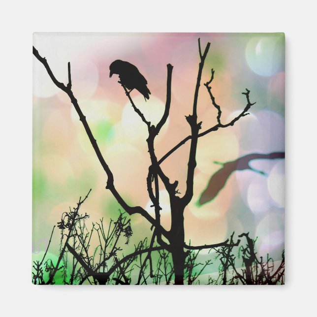 Den exklusiva Kråkan Magnet (Framsidan)