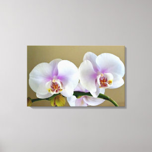 Den exotiska orchiden fotograferar på kanfaskonst canvastryck