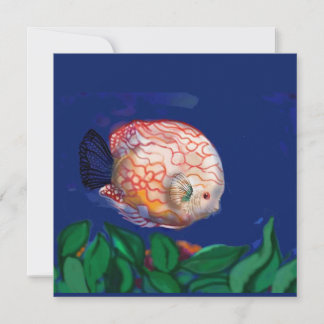 Den fantastiska fisken