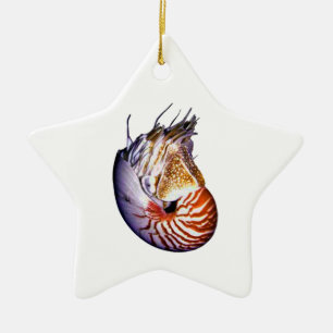 DEN FANTASTISKA NAUTILUSEN JULGRANSPRYDNAD KERAMIK