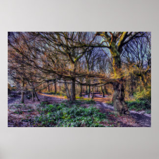 Den fantastiska skogen 1 poster