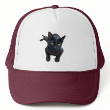 Den fascinerande appellen från Black Cat