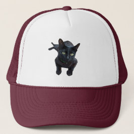 Den fascinerande appellen från Black Cat Keps
