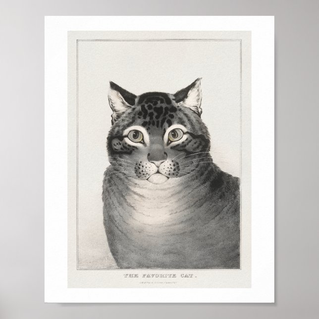 Den Favoritkatten (1838–48) Litografi Poster (Framsidan)