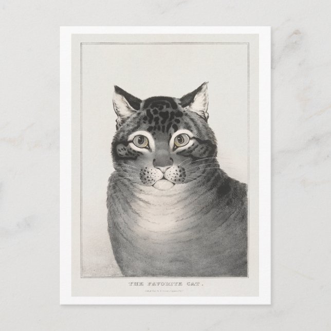 Den Favoritkatten (1838–48) Litografi Vykort (Framsida)
