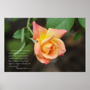 Den Filipenses 4:8 lurar rosa Poster