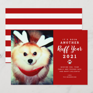Den fina julen 2021 Red Ruff Year Hund Photo