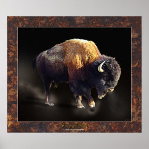 Den finaste konsten i Buffalo-historien Poster