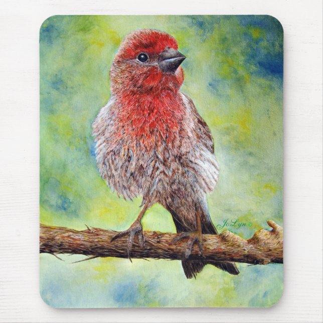 Den Finchy musen vadderar Musmatta (Framsidan)