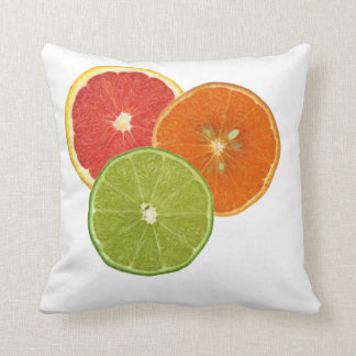 Den Florida citruset kudder Kudde