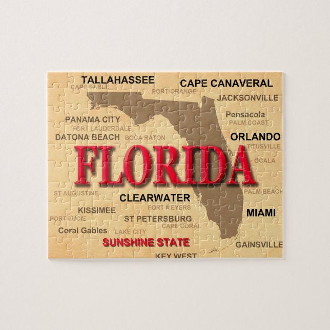 Den Florida städer och städer påstår pridekartan Pussel (Horisontell)