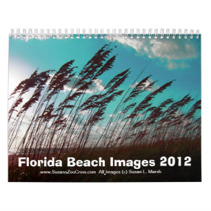 Den Florida stranden avbildar foto Kalender