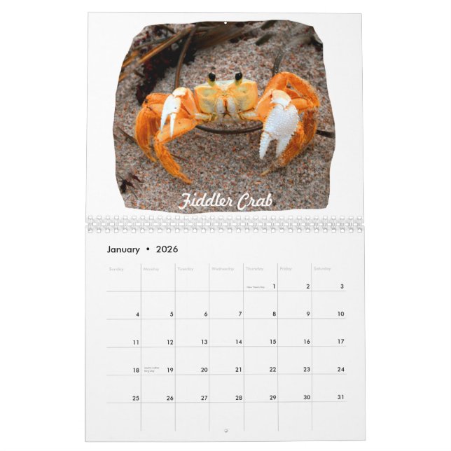 Den Florida stranden avbildar foto Kalender (Jan 2026)